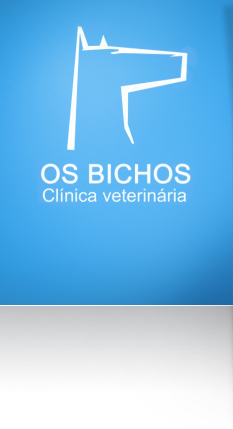 Bichos – Clínica Veterinária do Bonfim