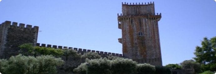 Beja